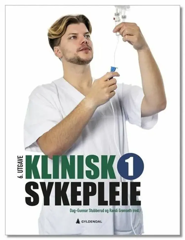Klinisk sykepleie 1 - Dag Gunnar Stubberud, Randi Grønseth (red.) af Dag Gunnar Stubberud