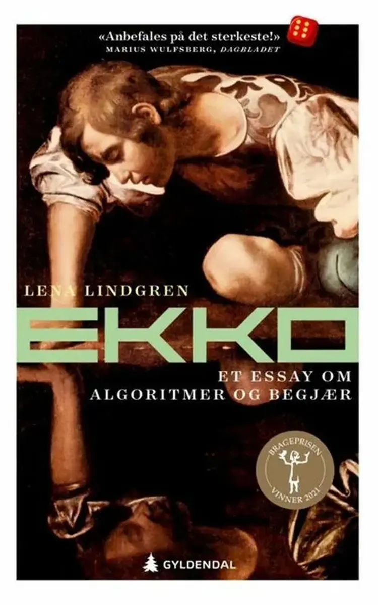 Ekko : et essay om algoritmer og begjær af Lena Lindgren