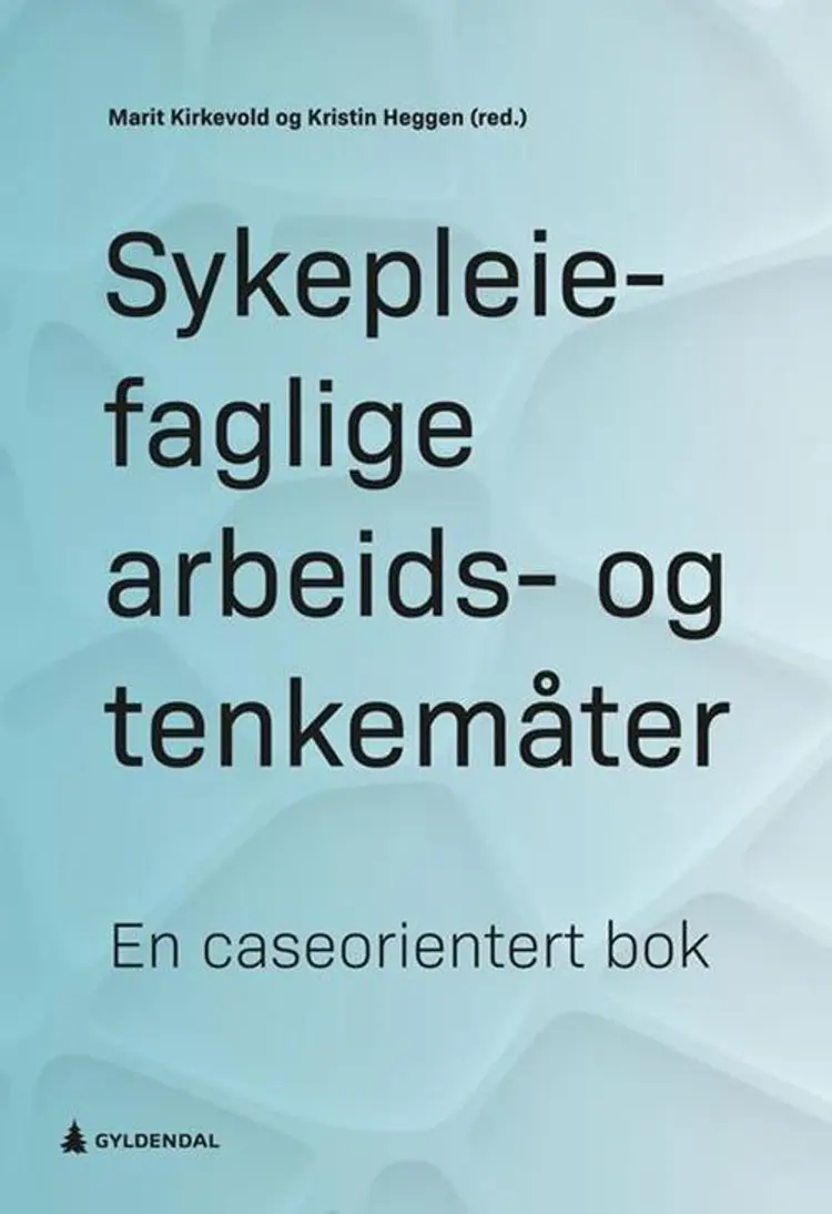 Sykepleiefaglige arbeids- og tenkemåter : en caseorientert bok af Marit Kirkevold