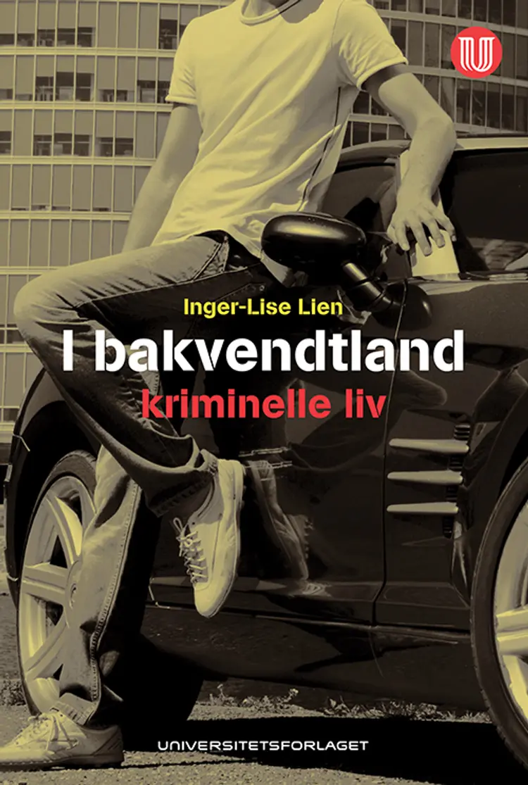I bakvendtland : kriminelle liv - Inger-Lise Lien af Inger-Lise Lien