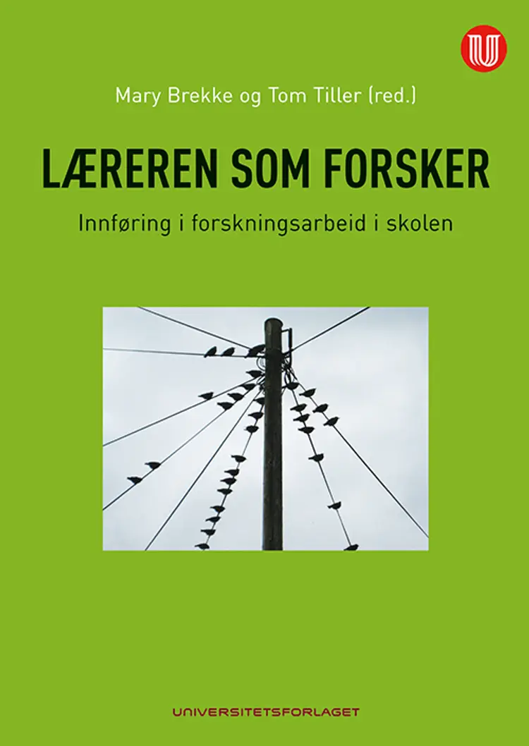 Læreren som forsker : innføring i forskningsarbeid i skolen af Mary Brekke