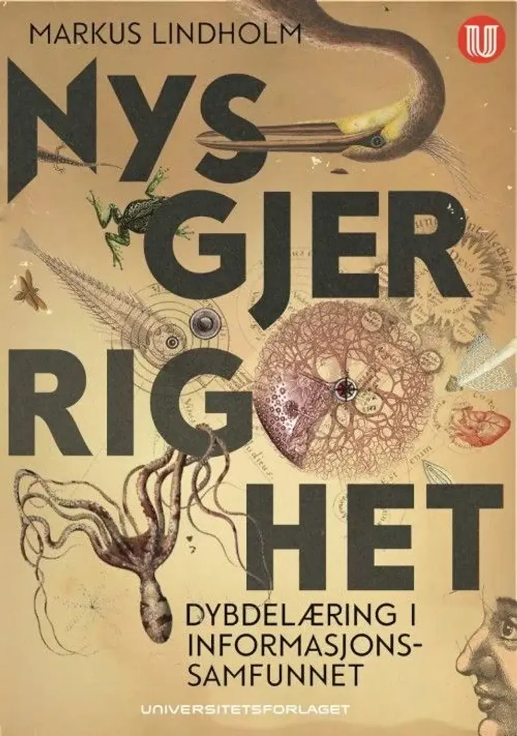 Nysgjerrighet : dybdelæring i informasjonssamfunnet af Markus Lindholm