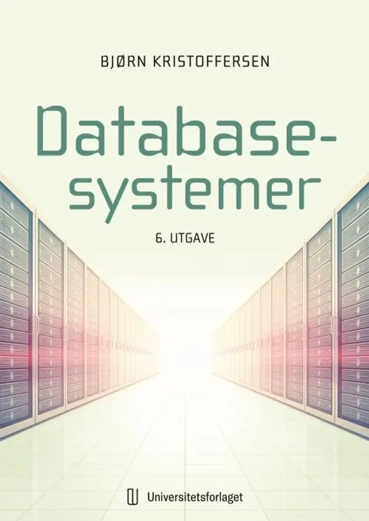 Databasesystemer af Bjørn Kristoffersen