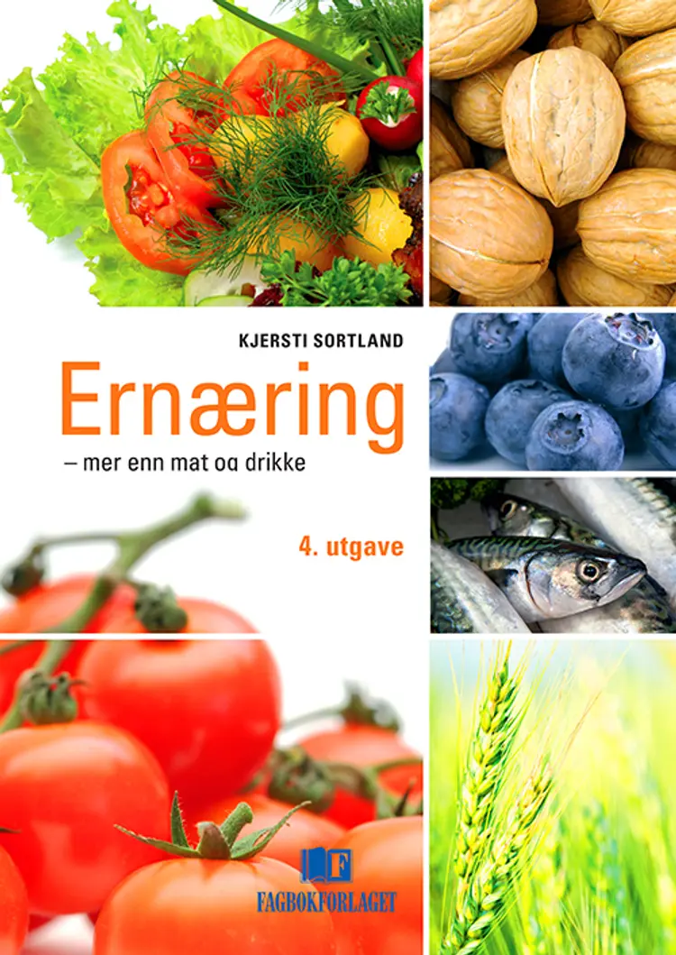 Ernæring - mere end mad og drikke af Ragnhild Gjerstad