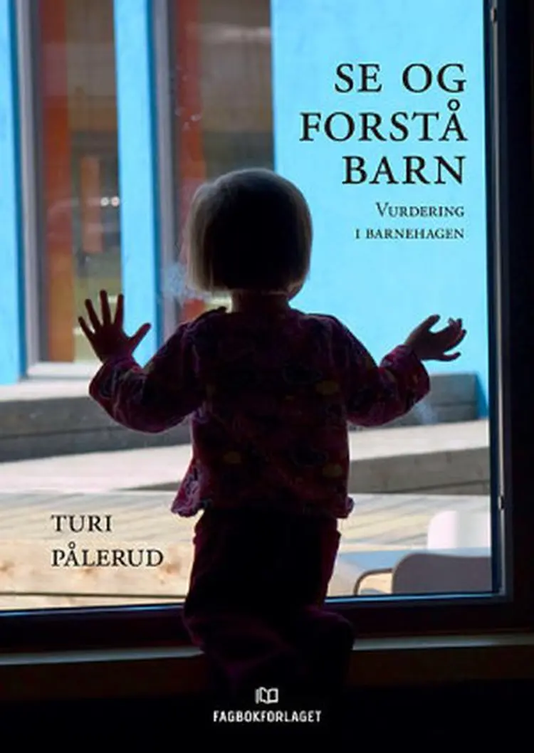 Se og forstå barn : vurdering i barnehagen af Turid Pålerud