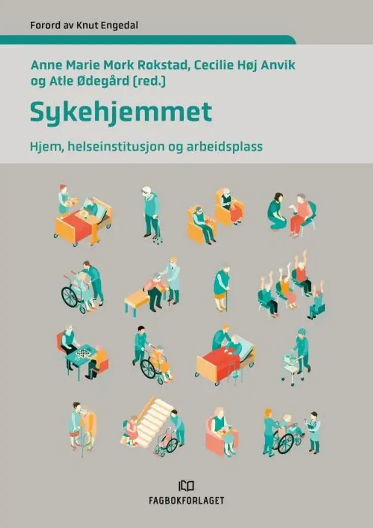 Sykehjemmet : hjem, helseinstitusjon og arbeidsplass af Anne Maarie Mork Rokstad