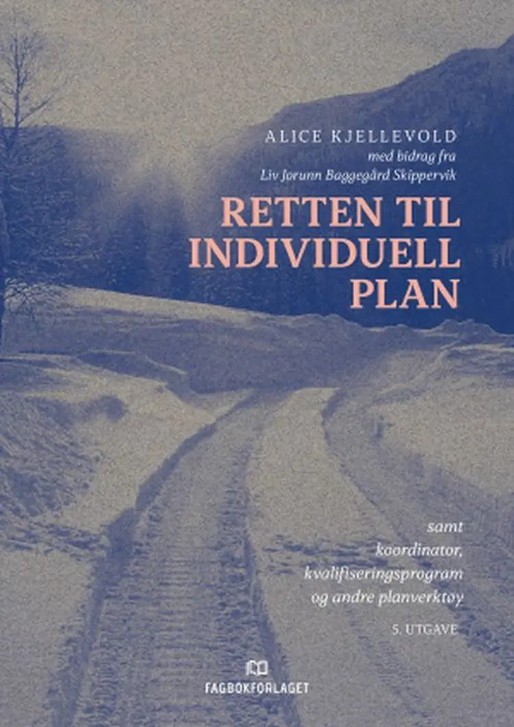 Retten til individuell plan : samt koordinator, kvalifiseringsprogram og andre planverktøy af Alice Kjellevold