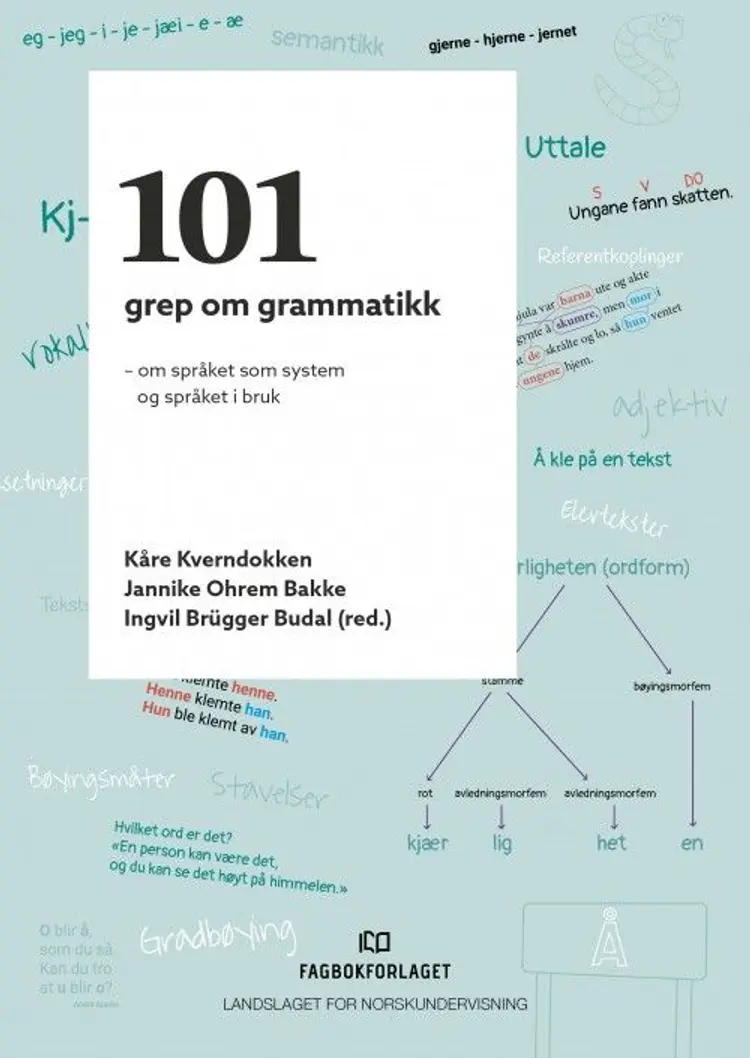 101 grep om grammatikk : om språket som system og språket i bruk af Kåre Kverndokken m.fl. (red.)