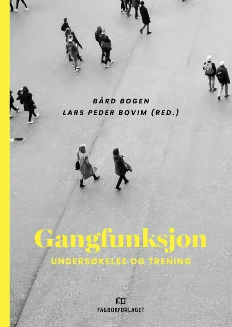 Gangfunksjon : undersøkelse og trening af Bård Bogen