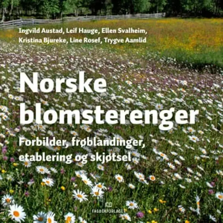 Norske blomsterenger : forbilder, frøblandinger, etablering og skjøtsel af Ingvild Austad