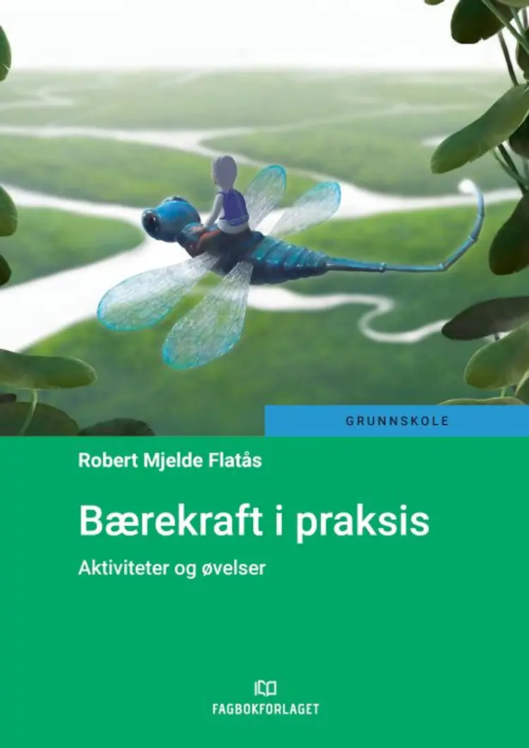 Bærekraft i praksis : aktiviteter og øvelser af Robert Mjelde Flatås