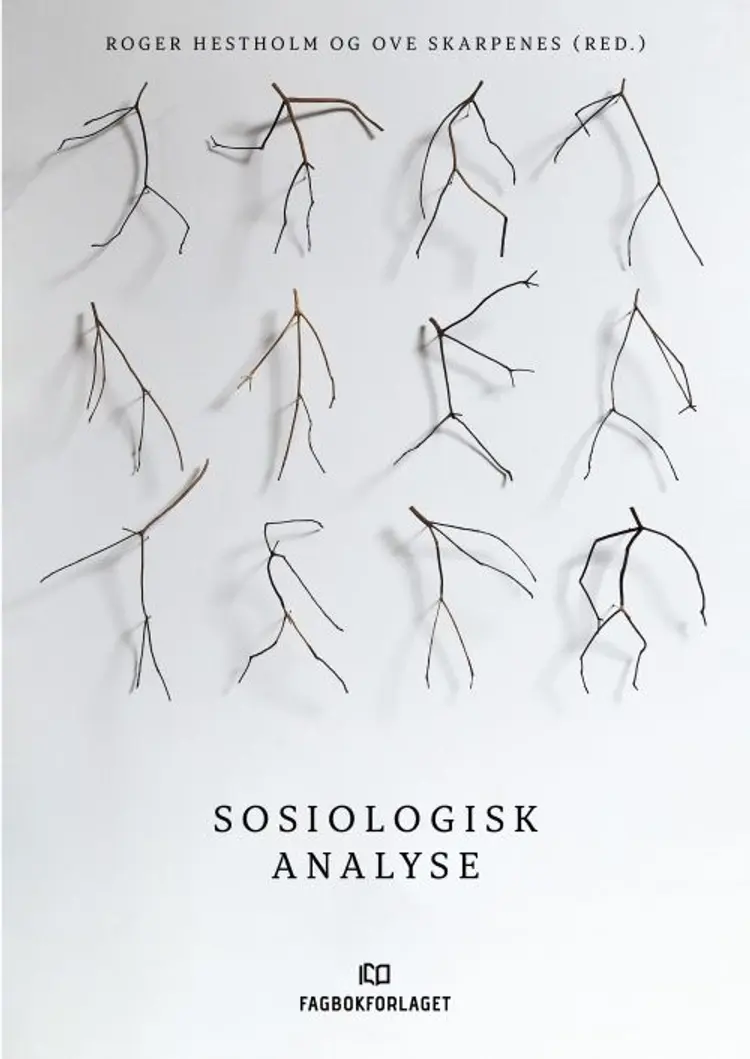 Sosiologisk analyse af Roger Hestholm