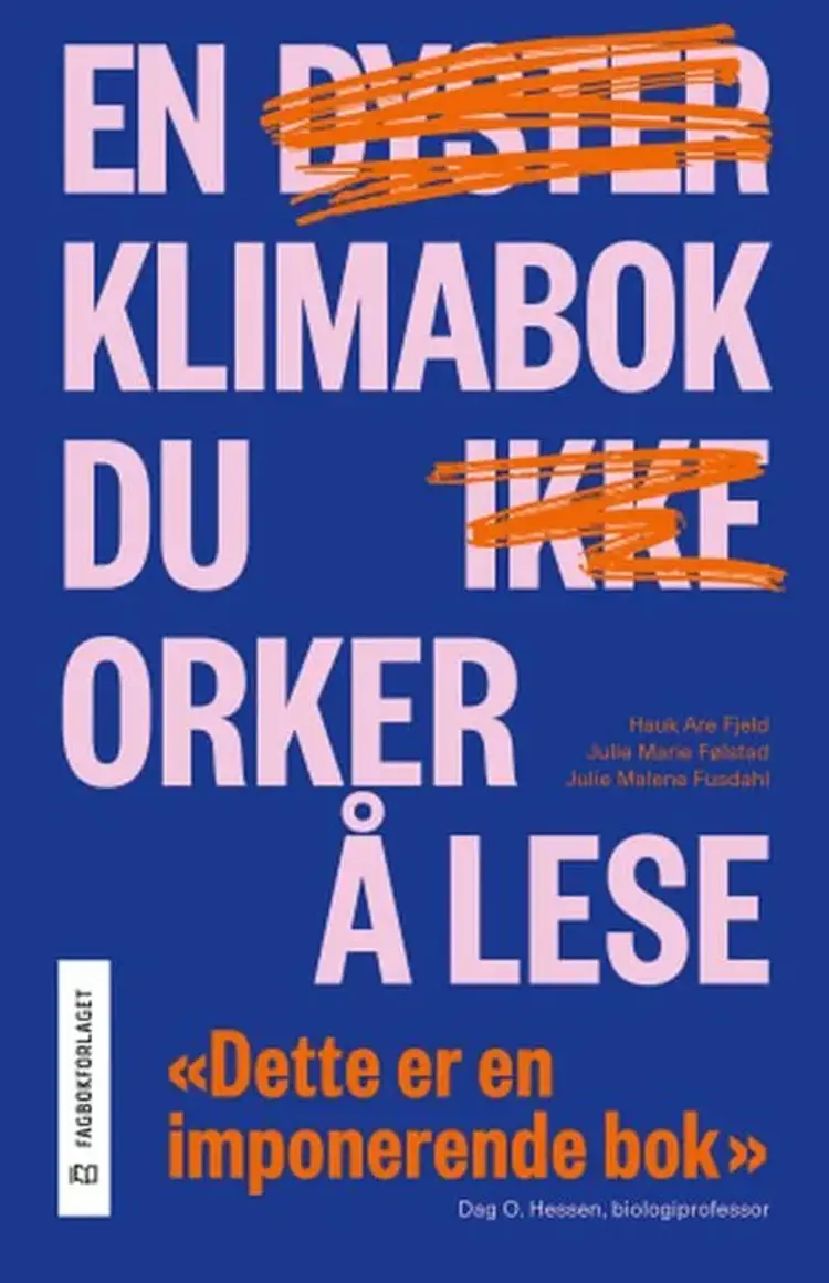 En klimabok du orker å lese af Hauk Are Fjeld