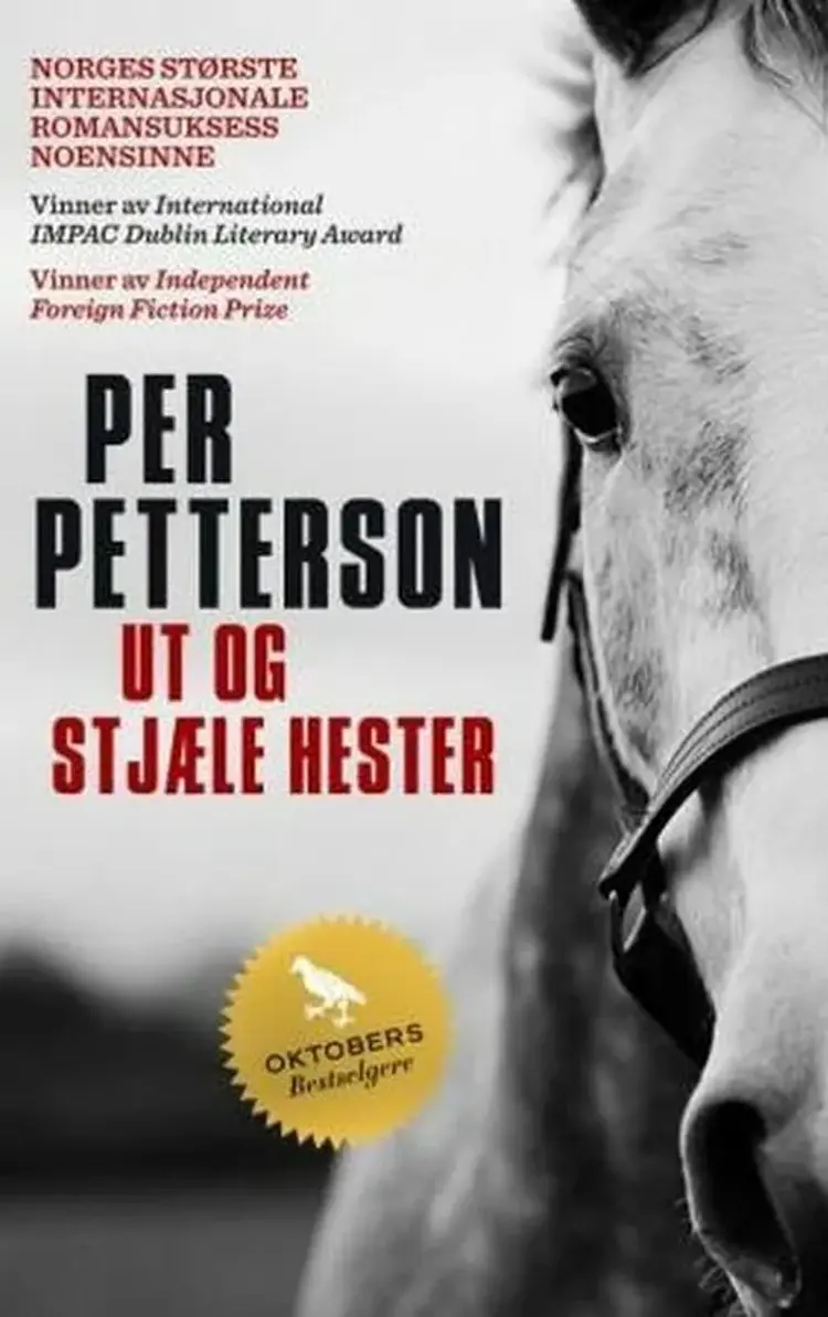 Ut og stjæle hester : roman - Per Petterson af Per Petterson