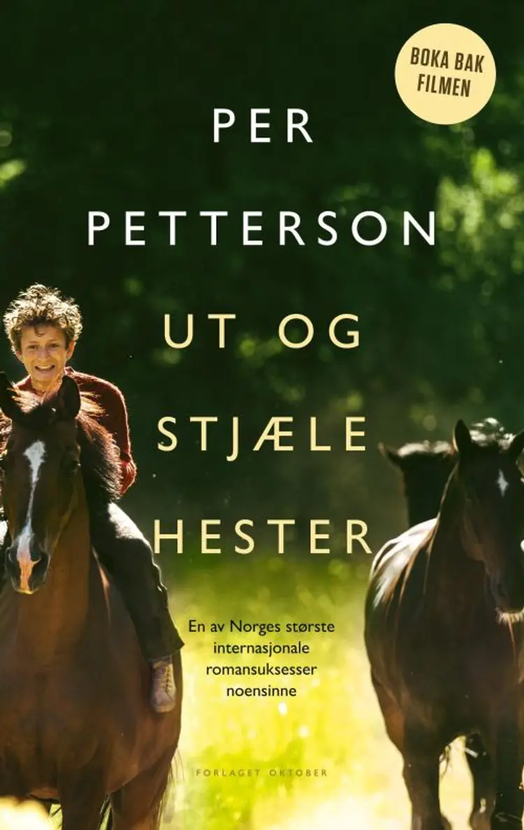 Ut og stjæle hester : roman af Per Petterson