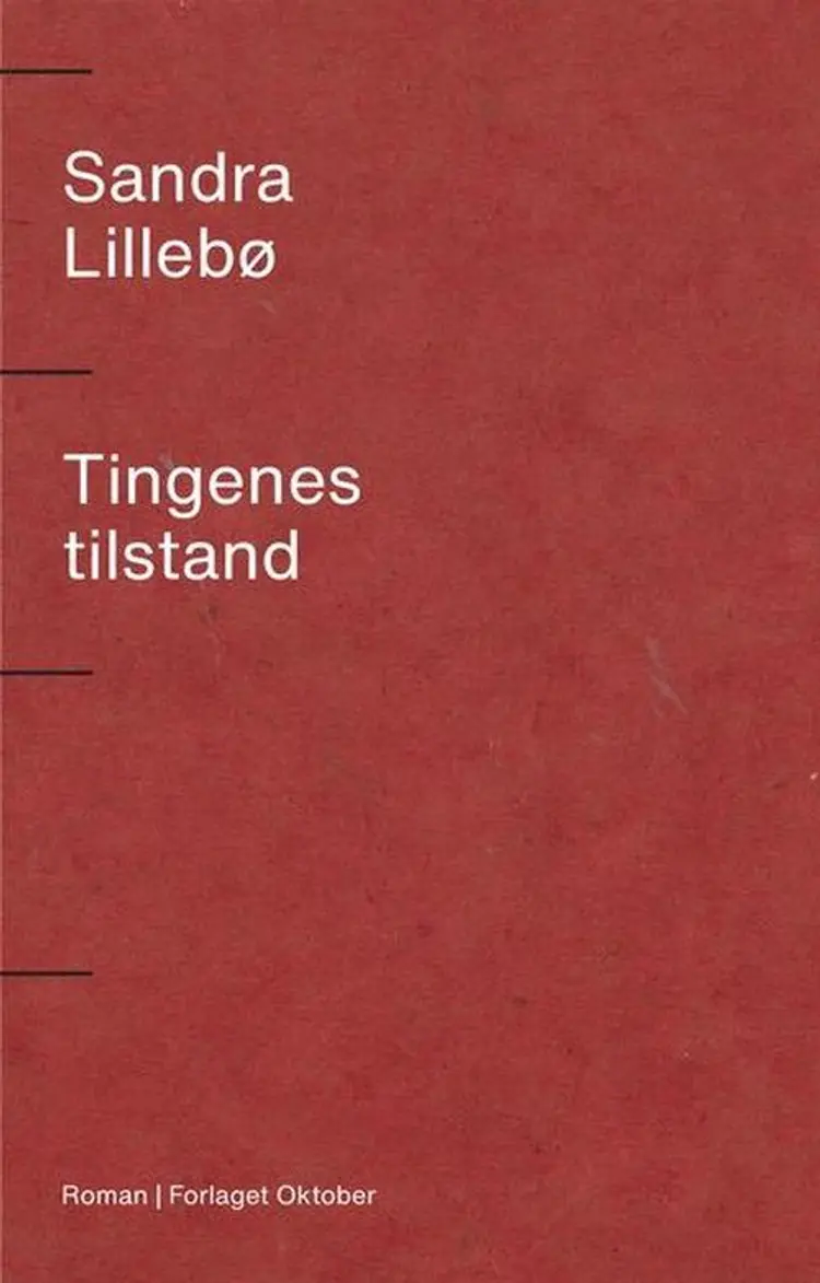Tingenes tilstand : roman af Sandra Lillebø
