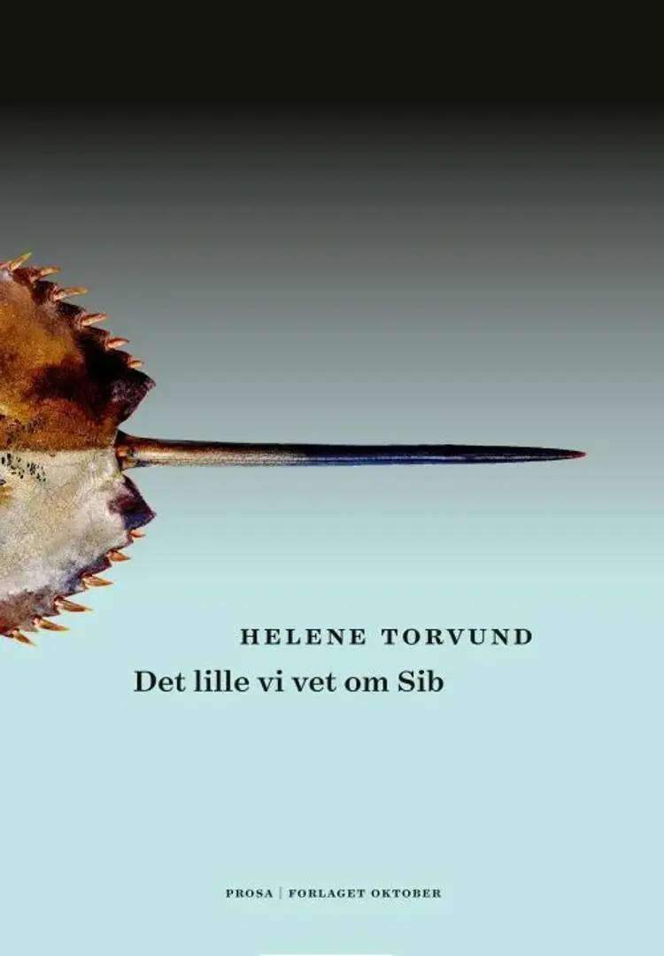 Det lille vi vet om Sib af Helene Torvund