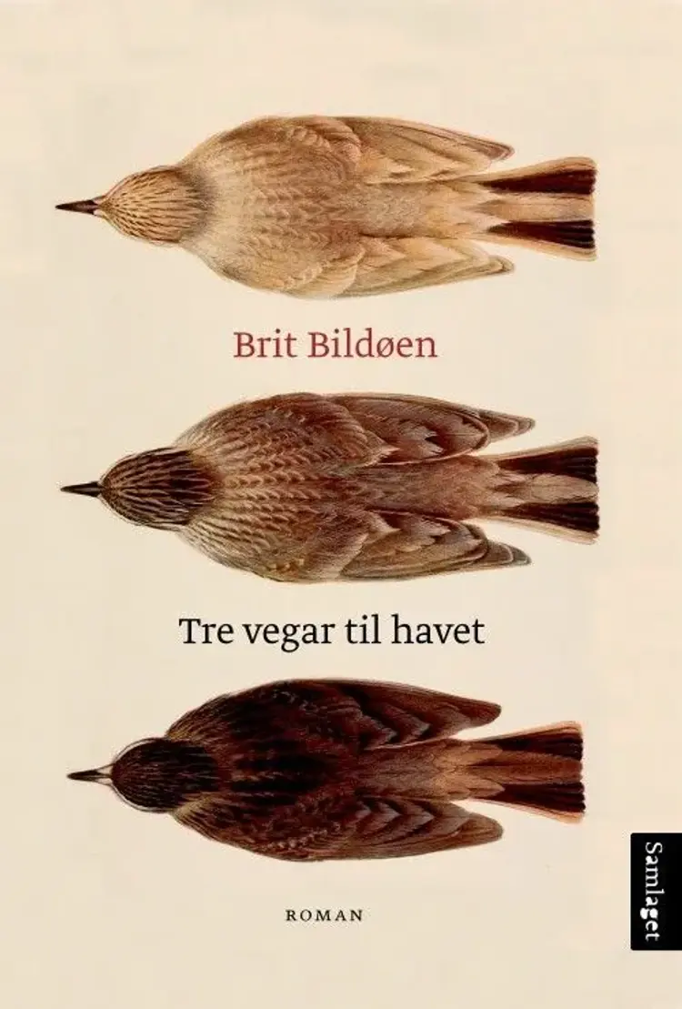Tre vegar til havet : roman af Brit Bildøen