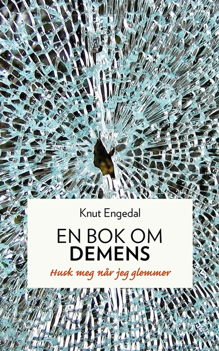 En bok om demens : husk meg når jeg glemmer af Knut Engedal
