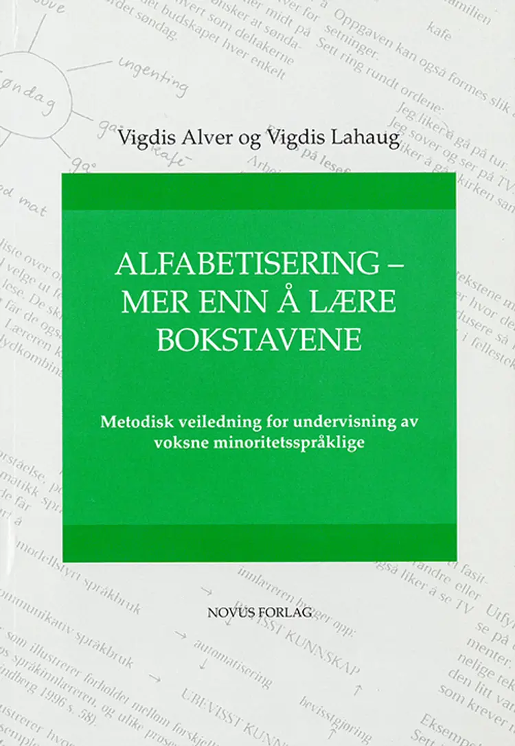 Alfabetisering - mer enn å lære bokstavene af Vigdis Alver