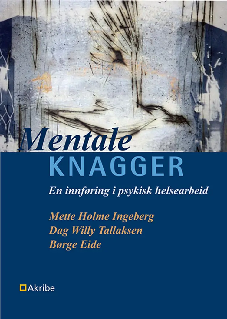 Mentale knagger : en innføring i psykisk helsearbeid af Mette Holme Ingeberg
