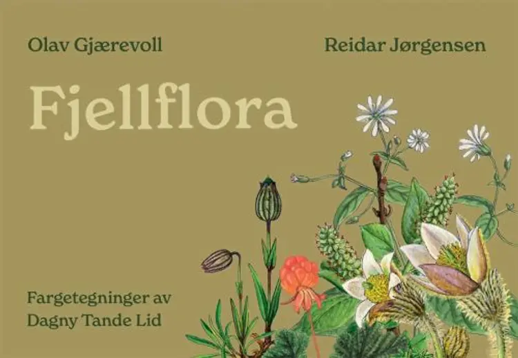Fjellflora af Olav Gjærevoll