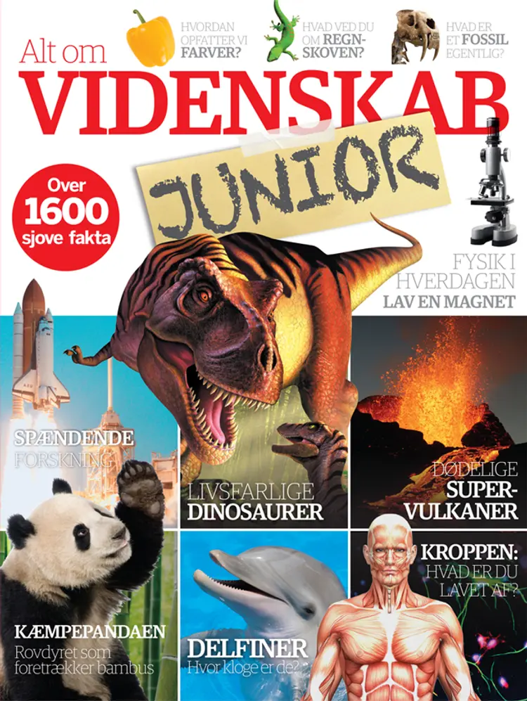 Alt om videnskab Junior af Line Therkelsen