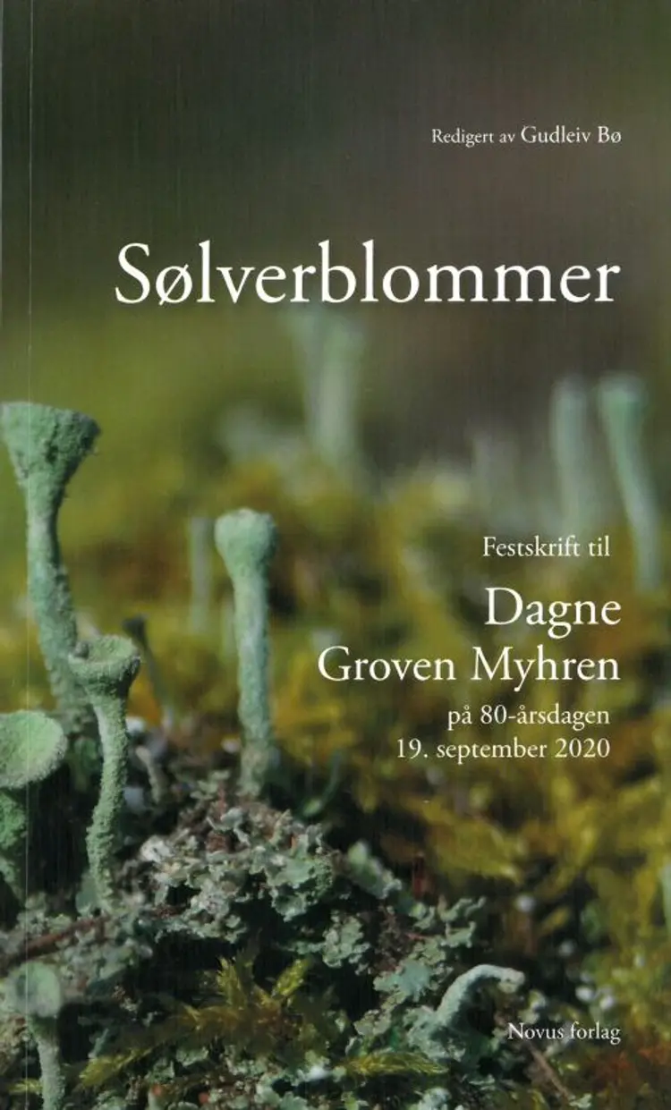 Sølverblommer : festskrift til Dagne Groven Myhren på 80-årsdagen 19. september 2020 af Gudleiv Bø (red.)