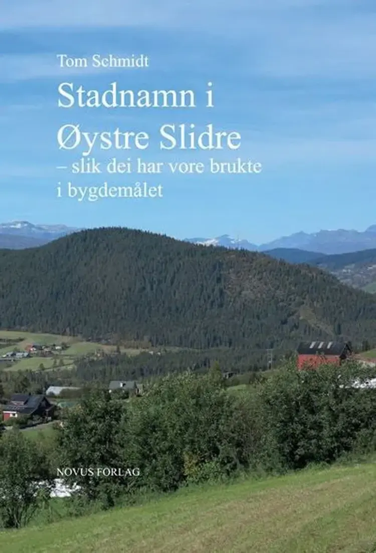 Stadnamn i Øystre Slidre : slik dei har vore brukte i bygdemålet - slik dei har vore brukte i bygdemålet, Tom Schmidt af Tom Schmidt