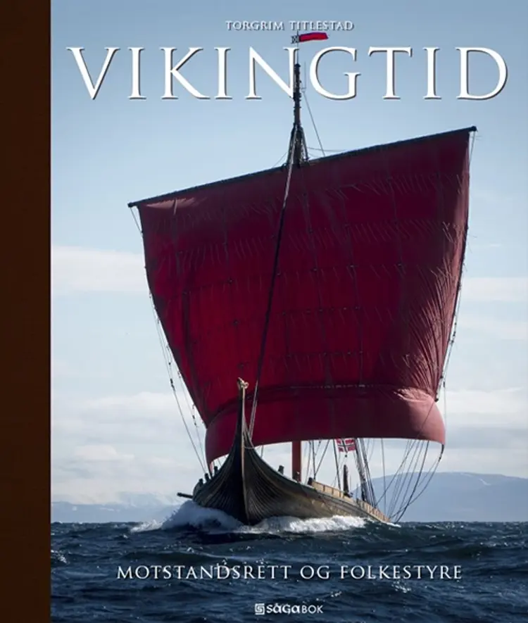 Vikingtid : motstandsrett og folkestyre af Torgrim titlestad