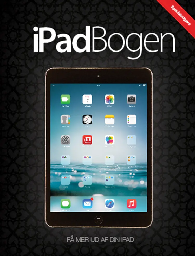 iPad Bogen 2015 af Line Therkelsen