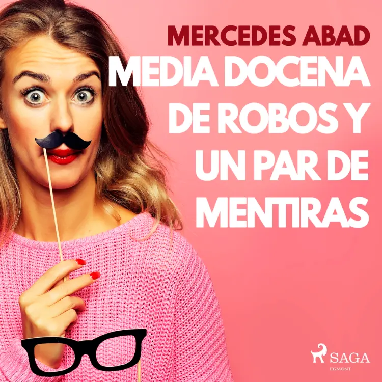 Media docena de robos y un par de mentiras af Mercedes Abad