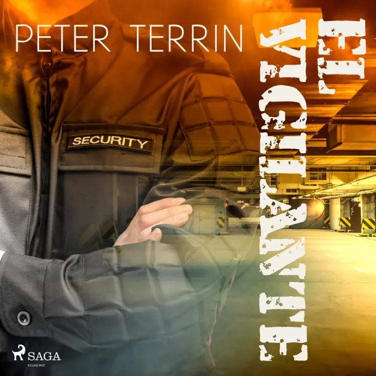 El vigilante af Peter Terrin