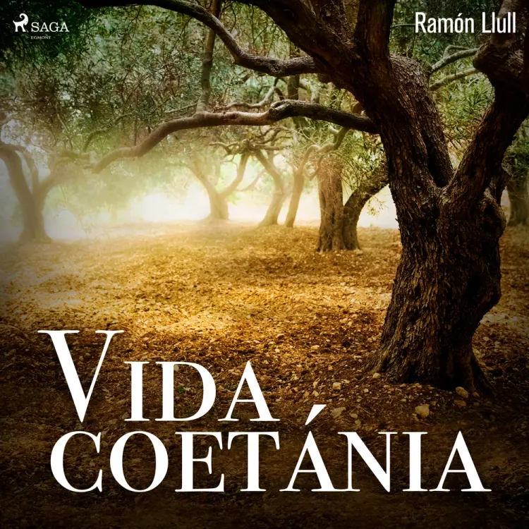 Vida coetánia af Ramon Llull