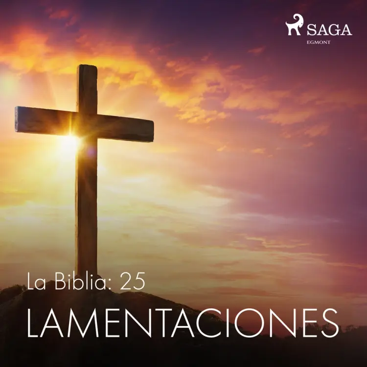 La Biblia: 25 Lamentaciones af – Anonimo