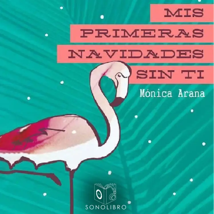 Mis primeras navidades sin ti - dramatizado af Monica Arana Carranza