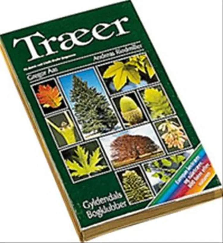 Træer af -