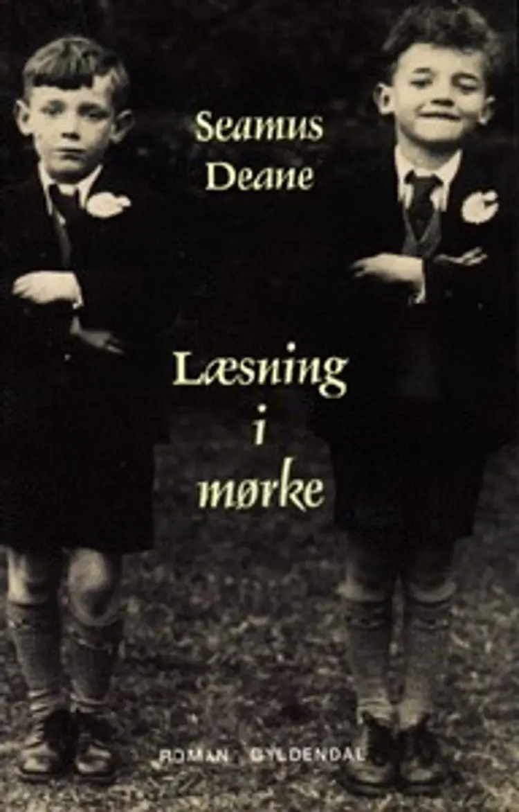 Læsning i mørke af Seamus Deane