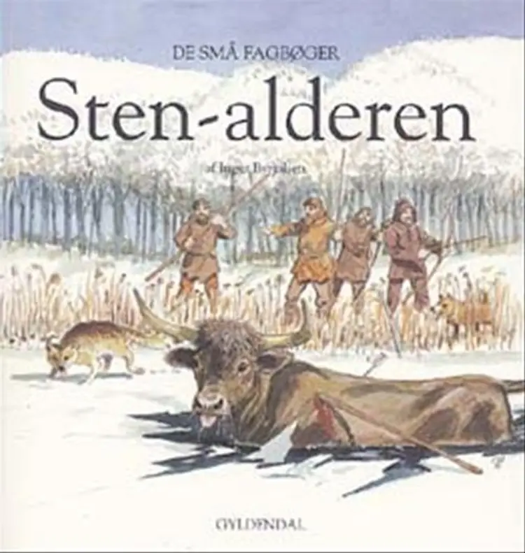 Stenalderen af Inger Byrjalsen