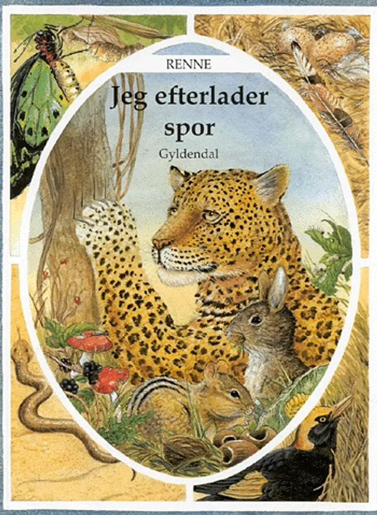 Jeg efterlader spor af Renne