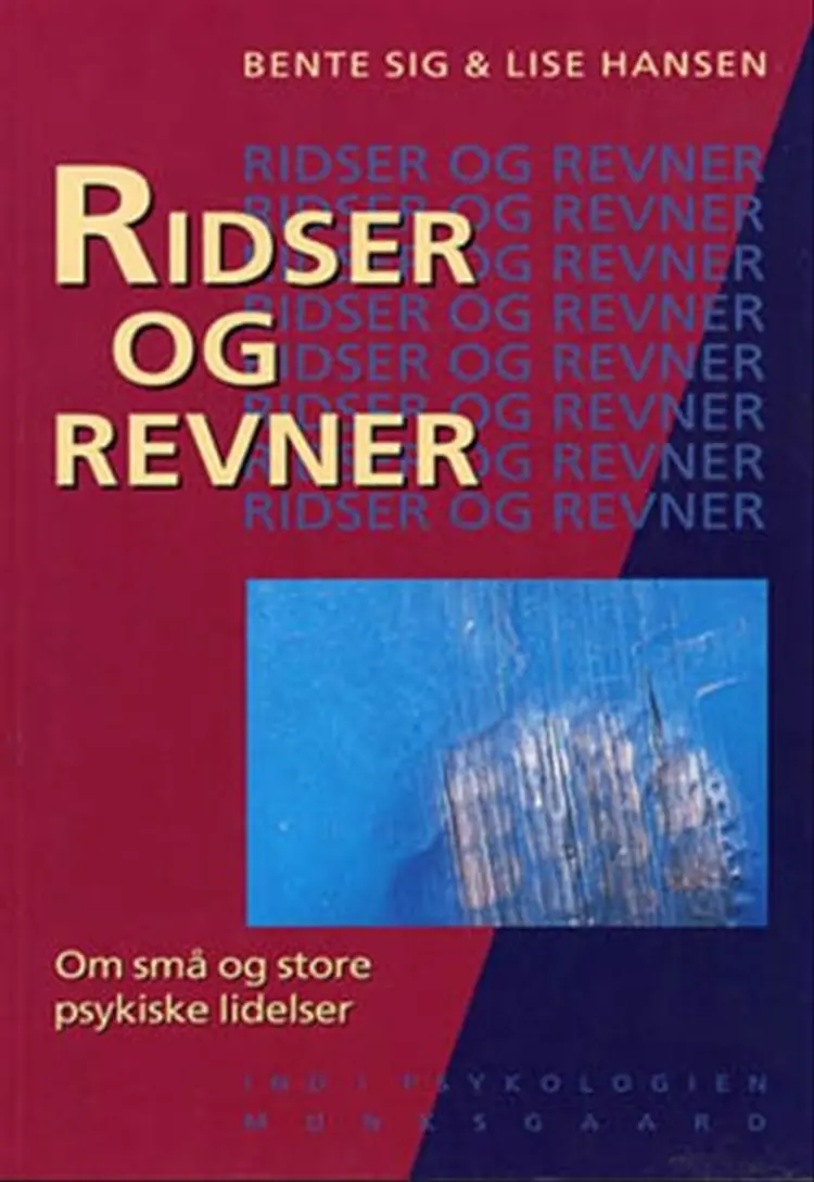 Ridser og revner af Lise Hansen