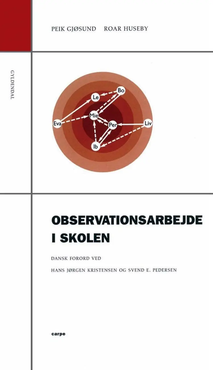 Observationsarbejde i skolen af Peik Gjøsund