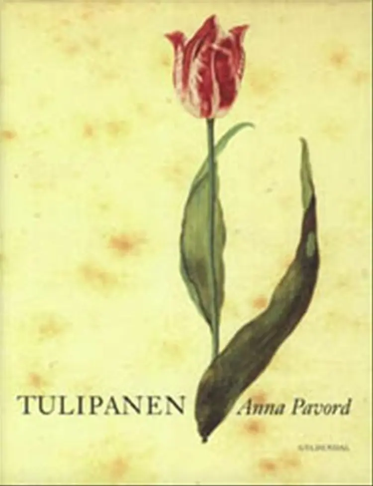 Tulipanen af Anna Pavord