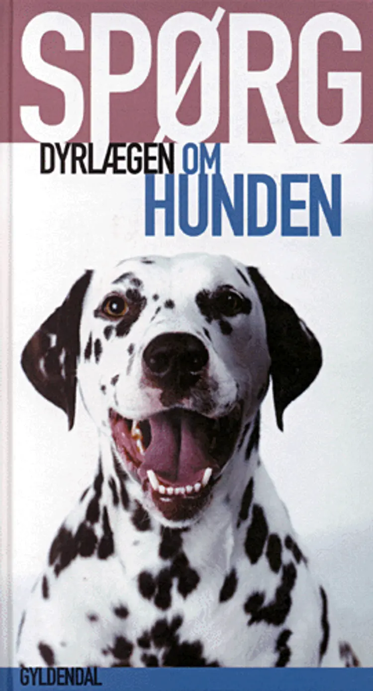 Spørg dyrlægen om hunden af Annette Staun