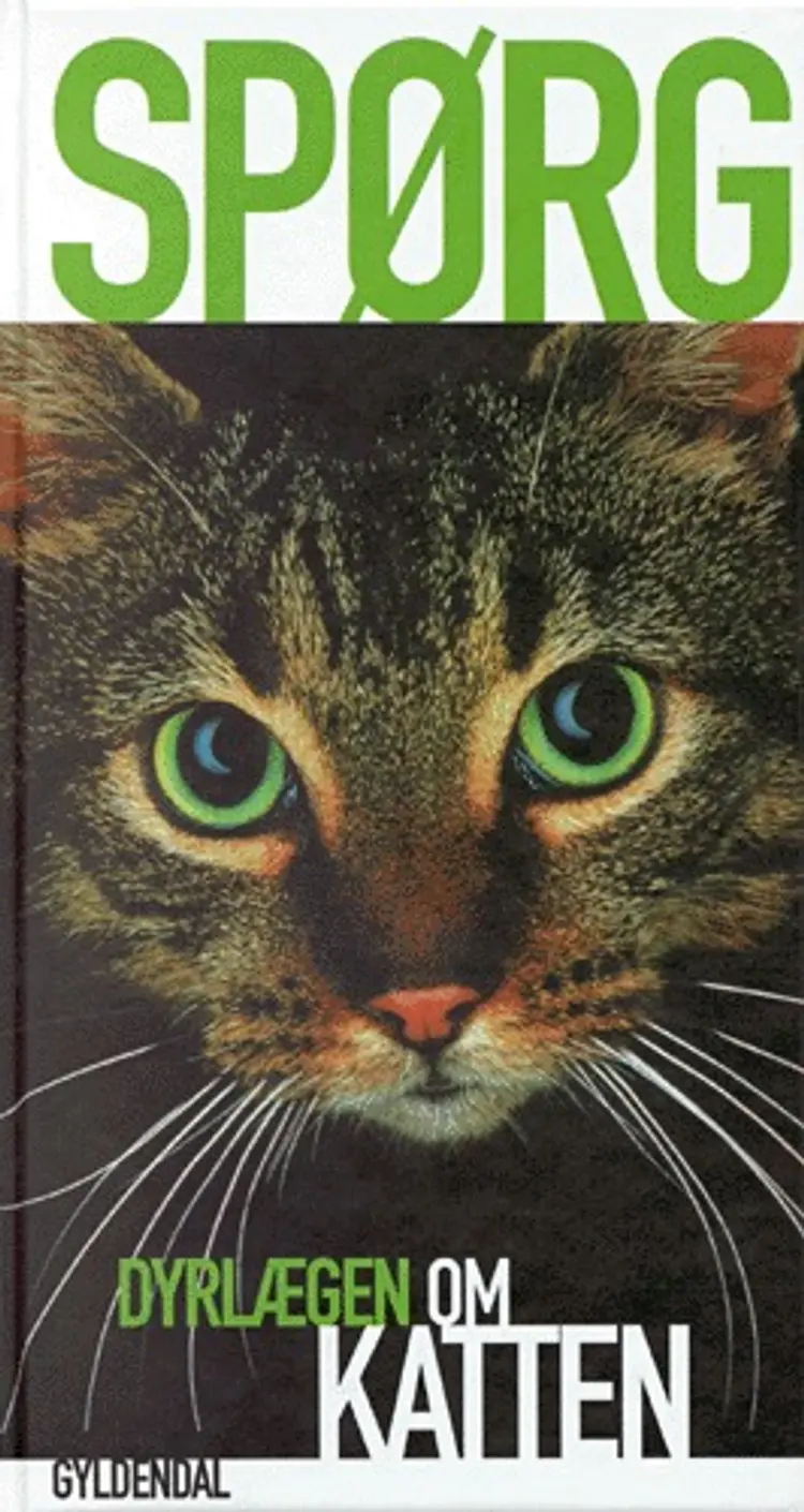 Spørg dyrlægen om katten af Annette Staun