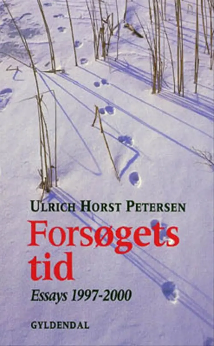 Forsøgets tid af Ulrich Horst Petersen