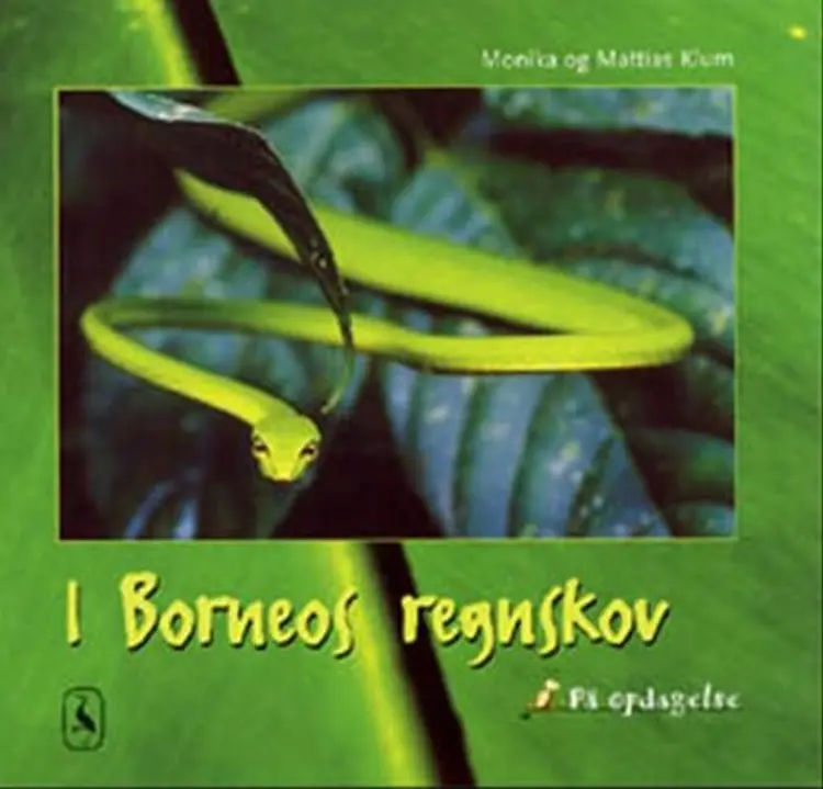 I Borneos regnskov af Monika og Mattias Klum