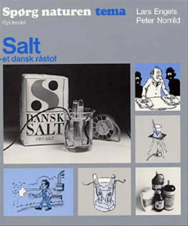 Salt - et dansk råstof af Peter Norrild