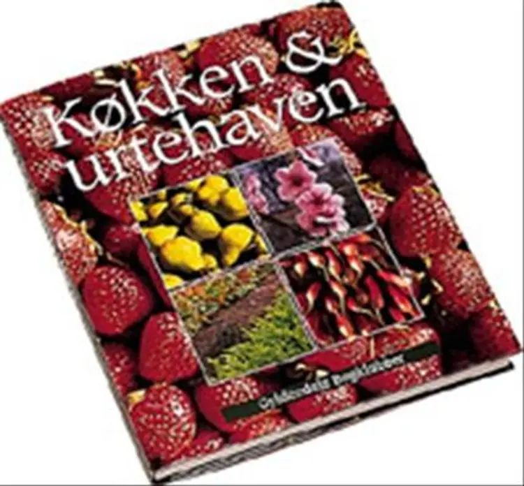 Køkken og urtehaven af -