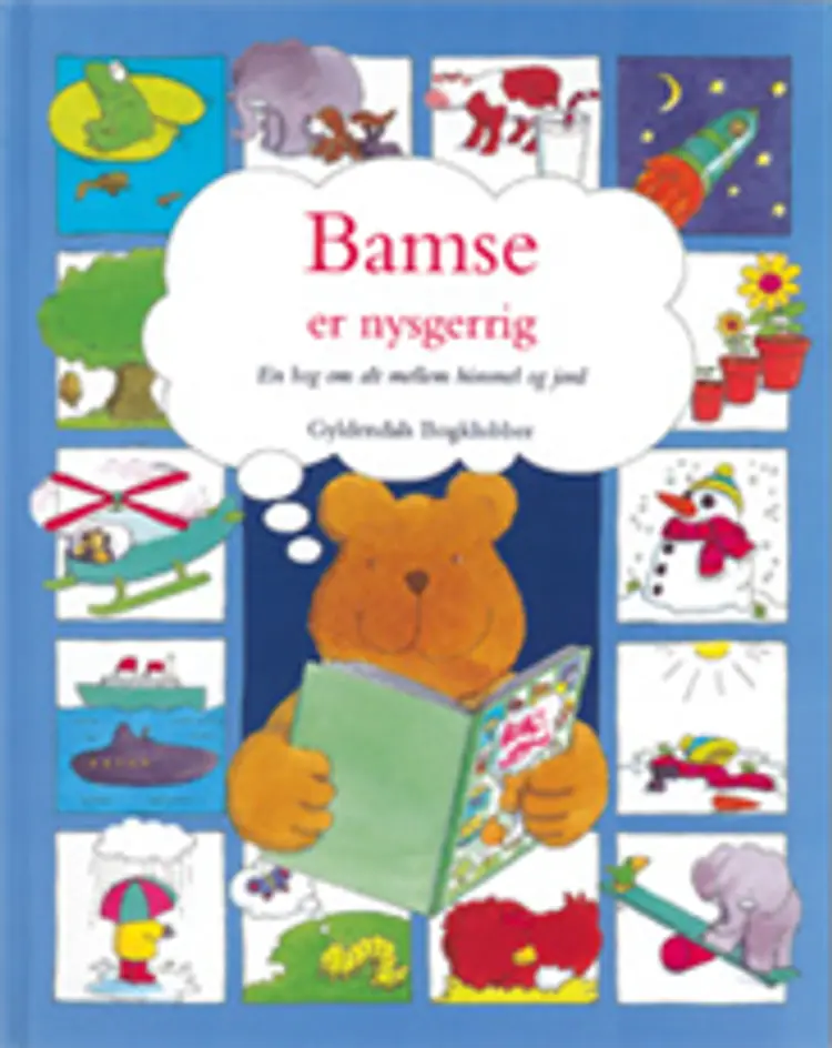 Bamse er nysgerrig af David Howgrave-Graham